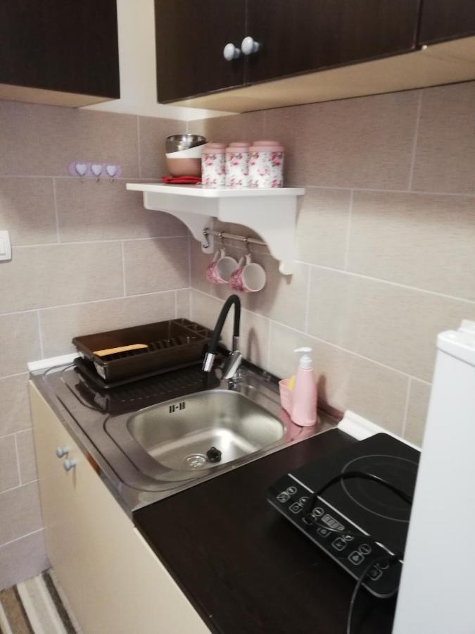 Studio Apartman Small Lili Popovaca Luaran gambar